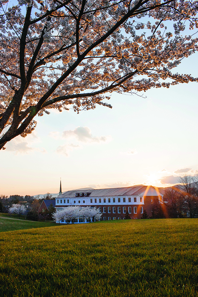 Hollins campus