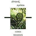 book jacket for almond, eyeless