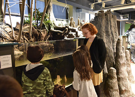 Hollins student interning at Science Museum of Western Virginia