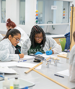 Students studying in lab