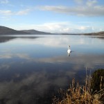 The lake beside Parke’s Castle, near Galway, Ireland. The lake leads to the Isle of Innisfree.