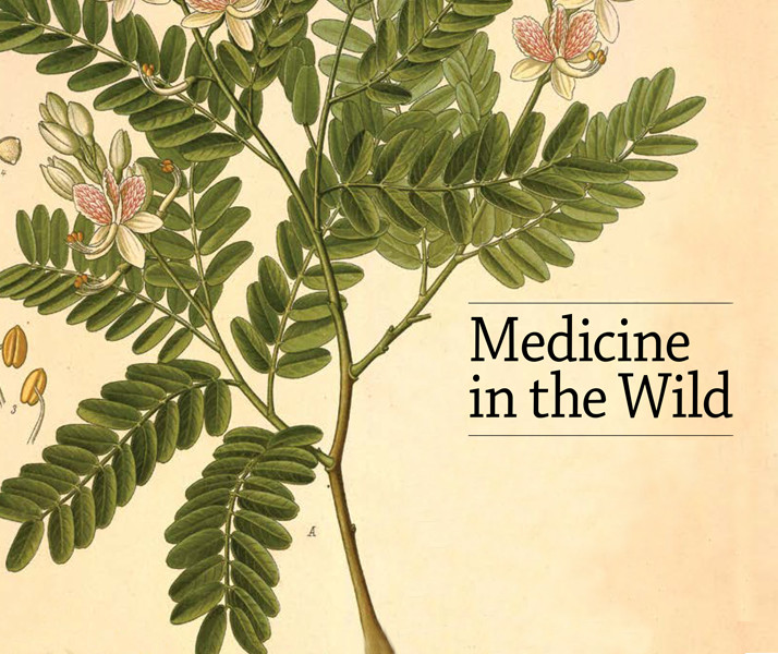 Medicine in the Wild