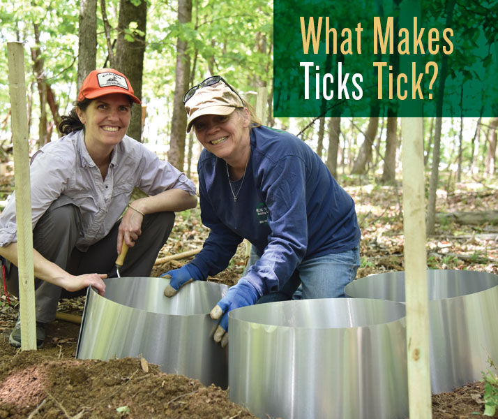 What Makes Ticks Tick?