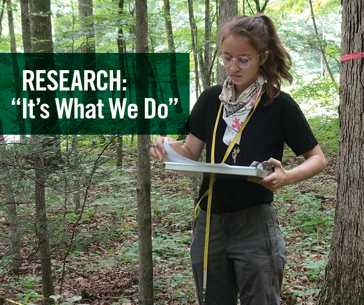 Research: "It's What We Do"