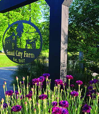 Small City Farm