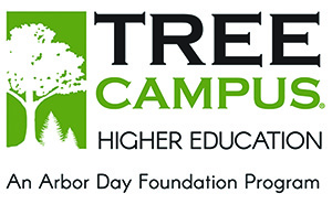 Tree Campus