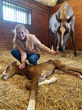 Heide Bossow-Casciaro '88