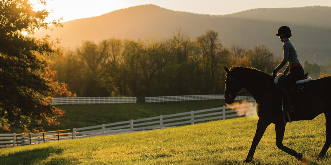 Madeleine Lohr ’19, an accomplished Hollins rider, won multiple awards at riding events during her time at the university.