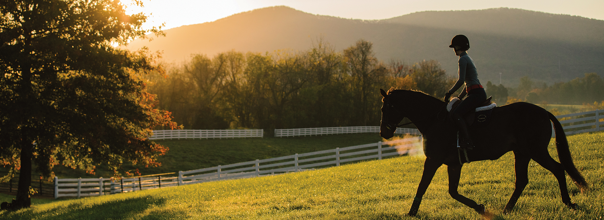 Madeleine Lohr ’19, an accomplished Hollins rider, won multiple awards at riding events during her time at the university.