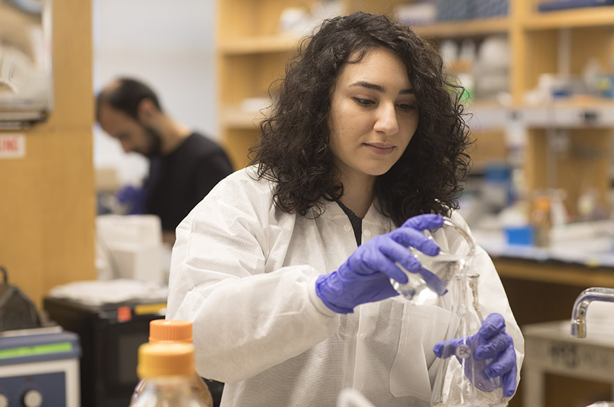 Student intern at NYU Langone Health