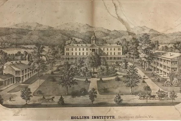 Hollins Institute
