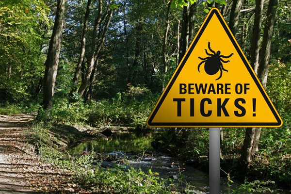 Beware of Ticks Sign