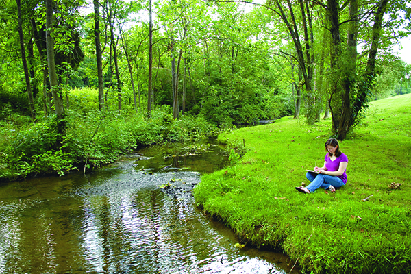 Drawing by the Creek