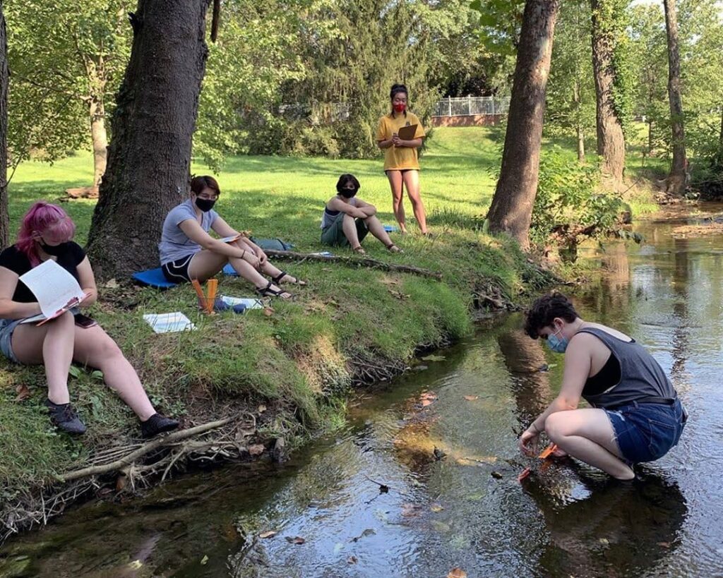 Students in environmental studies class