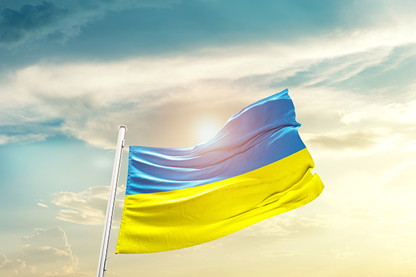 Ukraine Flag