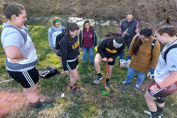 Hollins Tree Planting