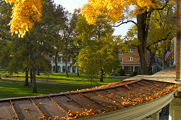 Hollins Foliage