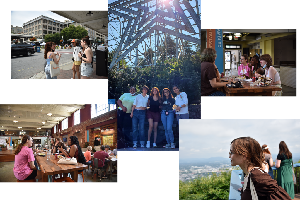 The Roanoke Valley Hollins University