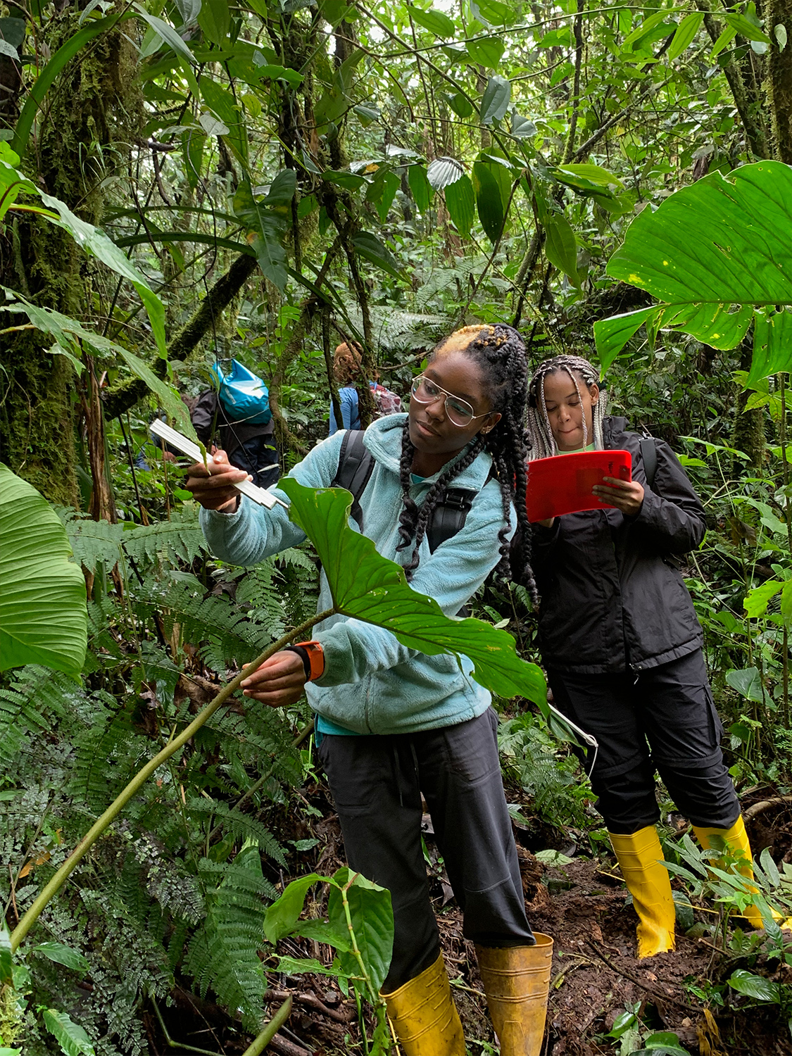 Environmental Science - Undergraduate Research - 2022