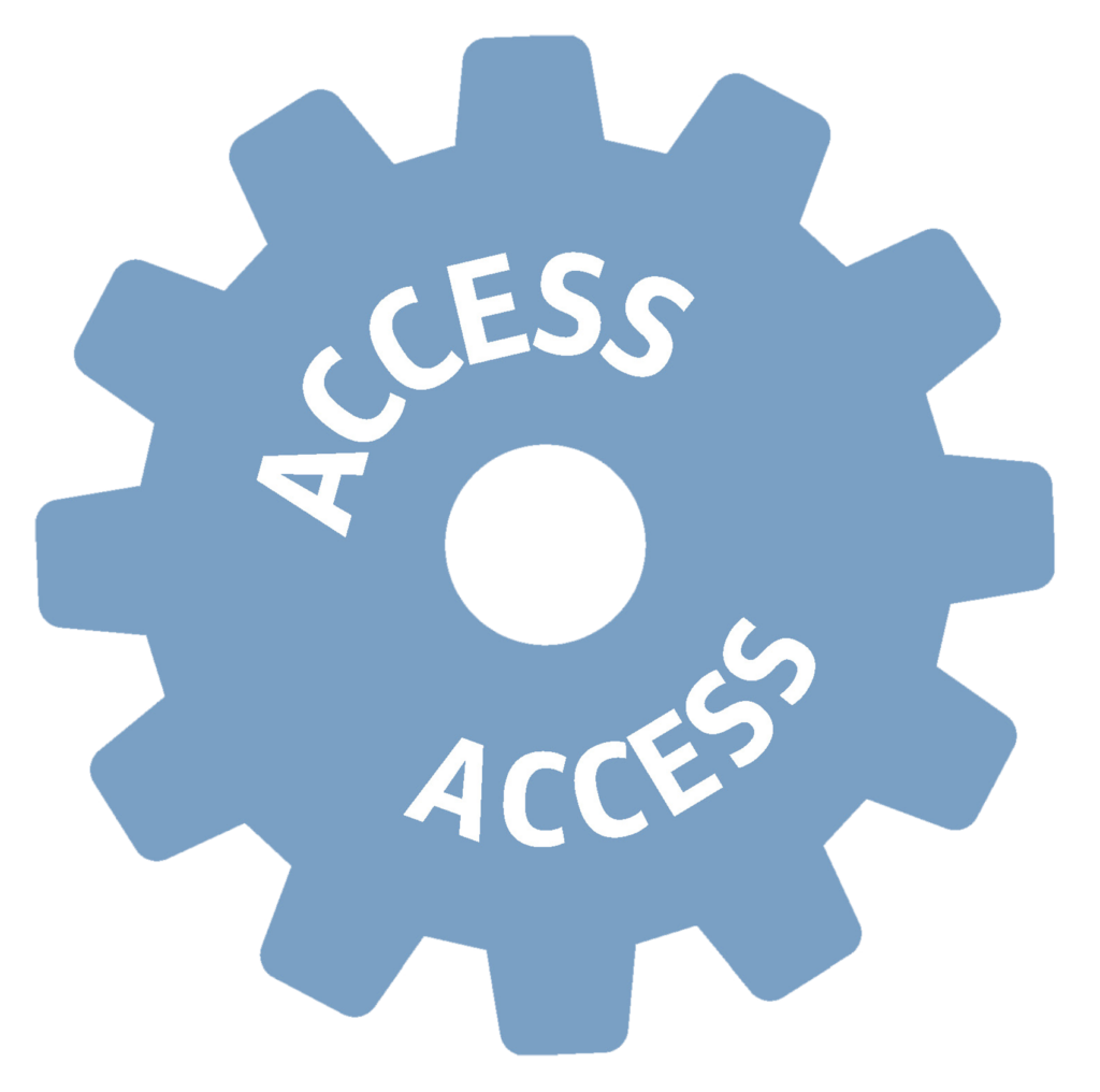 Access Gear: Strategic Plan