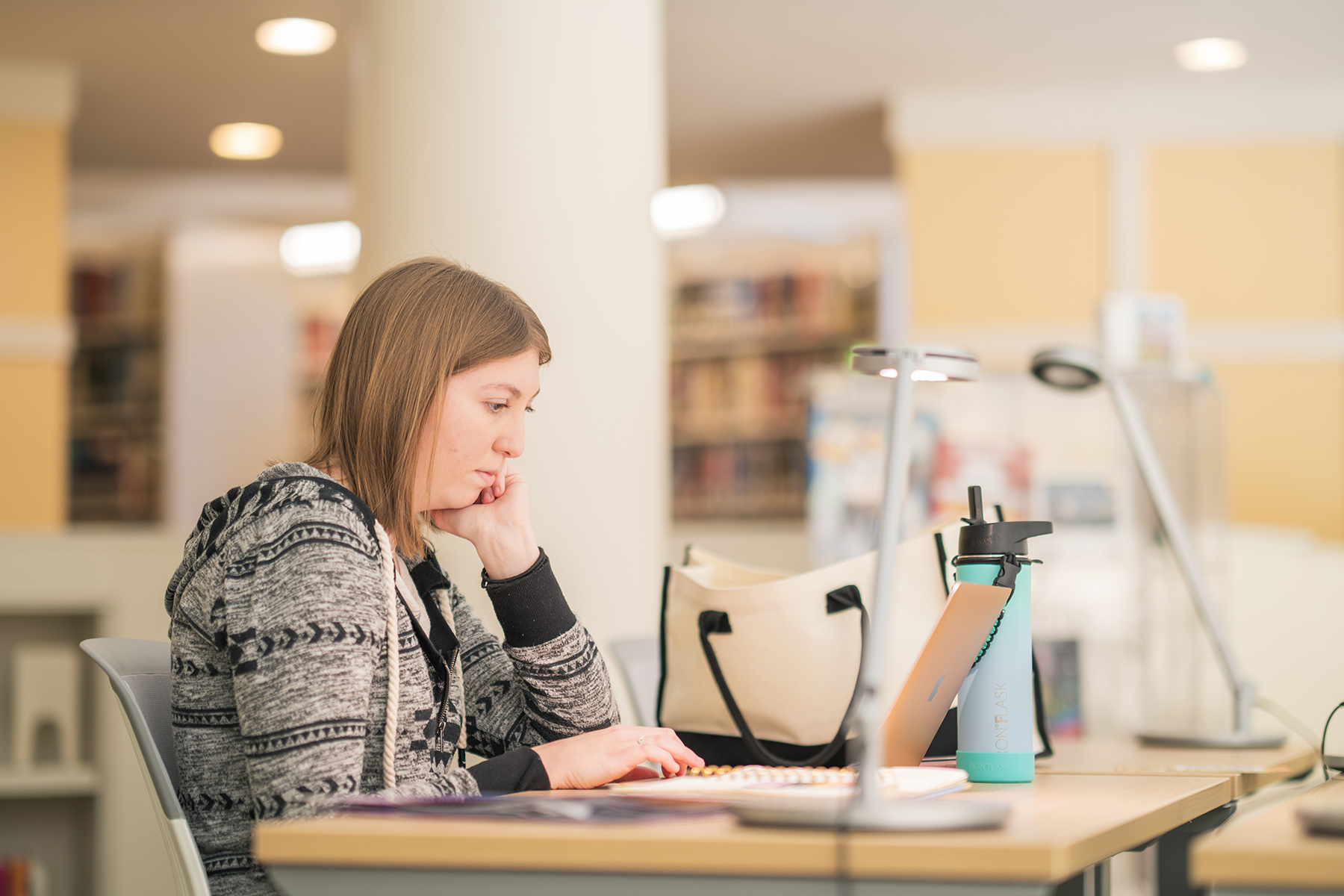 Student studying - Library - Fall 2023