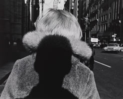 Lee Friedlander